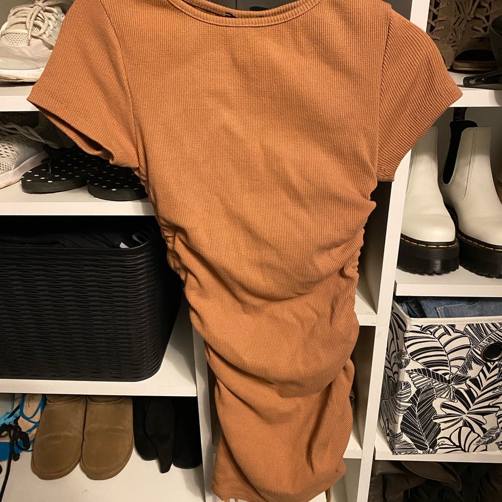 Brown sintched dress